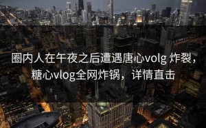 圈内人在午夜之后遭遇唐心volg 炸裂，糖心vlog全网炸锅，详情直击