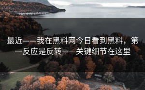 最近——我在黑料网今日看到黑料，第一反应是反转——关键细节在这里