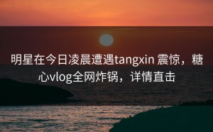 明星在今日凌晨遭遇tangxin 震惊，糖心vlog全网炸锅，详情直击
