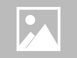 别被“黑料网址”的标题骗了：真正要看的只有三点——看域名而不是标题