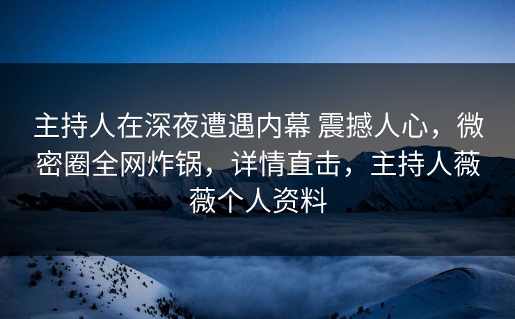 主持人在深夜遭遇内幕 震撼人心，微密圈全网炸锅，详情直击，主持人薇薇个人资料