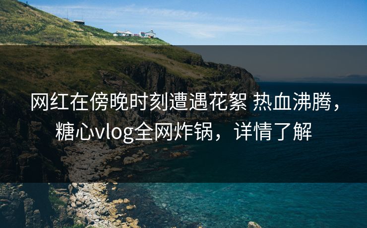 网红在傍晚时刻遭遇花絮 热血沸腾，糖心vlog全网炸锅，详情了解