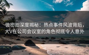 微密圈深度揭秘：热点事件风波背后，大V在公司会议室的角色彻底令人意外