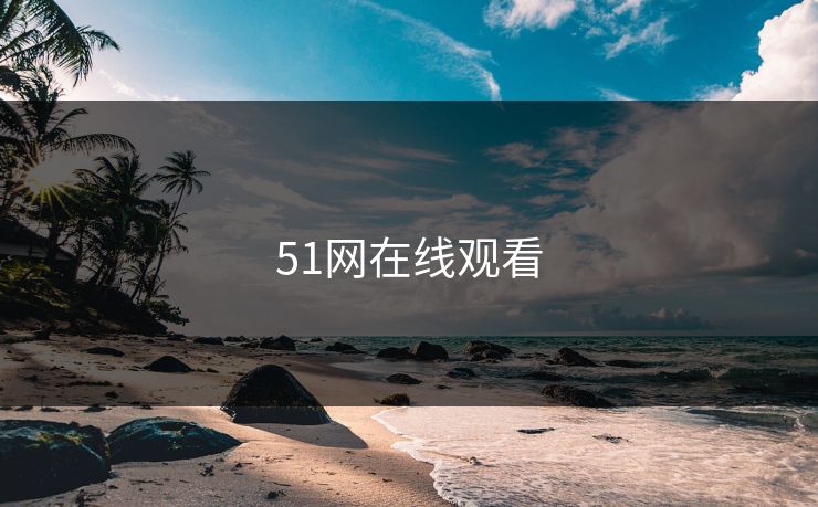 51网在线观看 51网在线观看