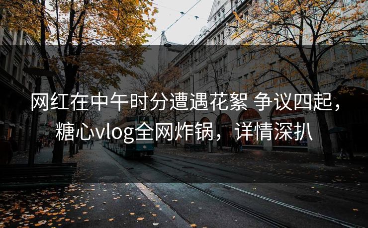 网红在中午时分遭遇花絮 争议四起，糖心vlog全网炸锅，详情深扒