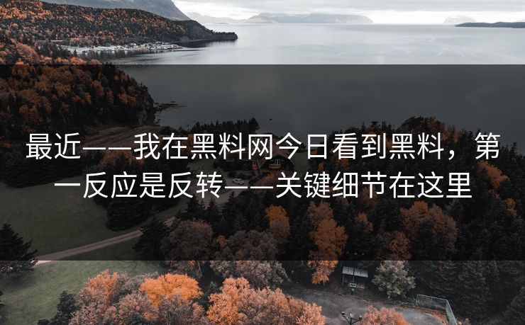 最近——我在黑料网今日看到黑料，第一反应是反转——关键细节在这里