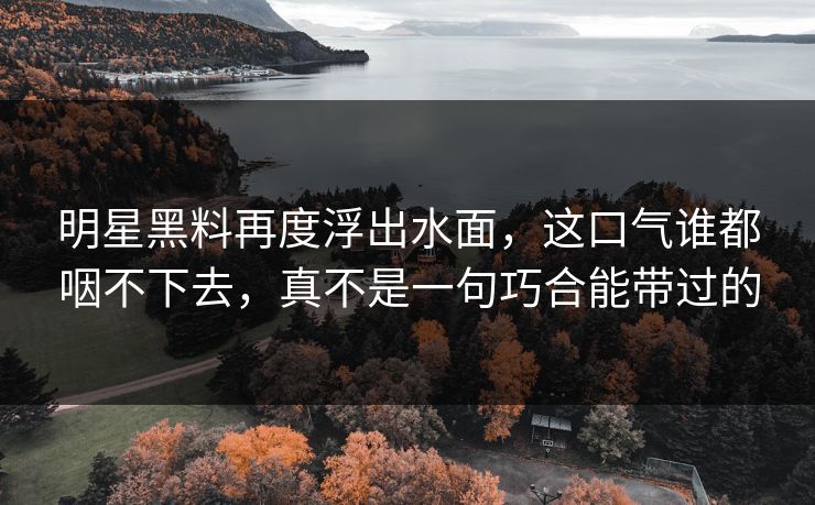 明星黑料再度浮出水面，这口气谁都咽不下去，真不是一句巧合能带过的